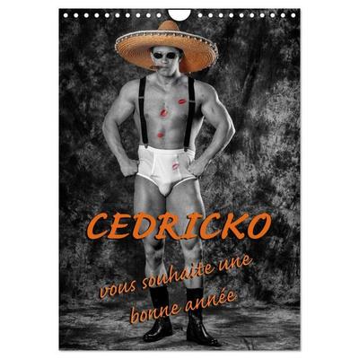 CEDRICKO vous souhaite une bonne année (Calendrier mural 2027 DIN A4 horizontal), CALVENDO calendrier mensuel