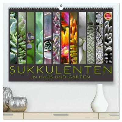 Sukkulenten in Haus und Garten (hochwertiger Premium Wandkalender 2026 DIN A2 quer), Kunstdruck in Hochglanz