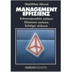 Management Effizienz, Fachbücher von Matthias Hirzel