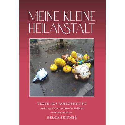 MEINE KLEINE HEILANSTALT, Taschenbuch von Helga Leitner, Buchschmiede, 978-3-99152-585-1
