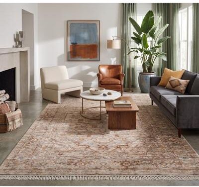 Amer Rugs Albany Vintage Power-Loom Beige Area/Runner Rug