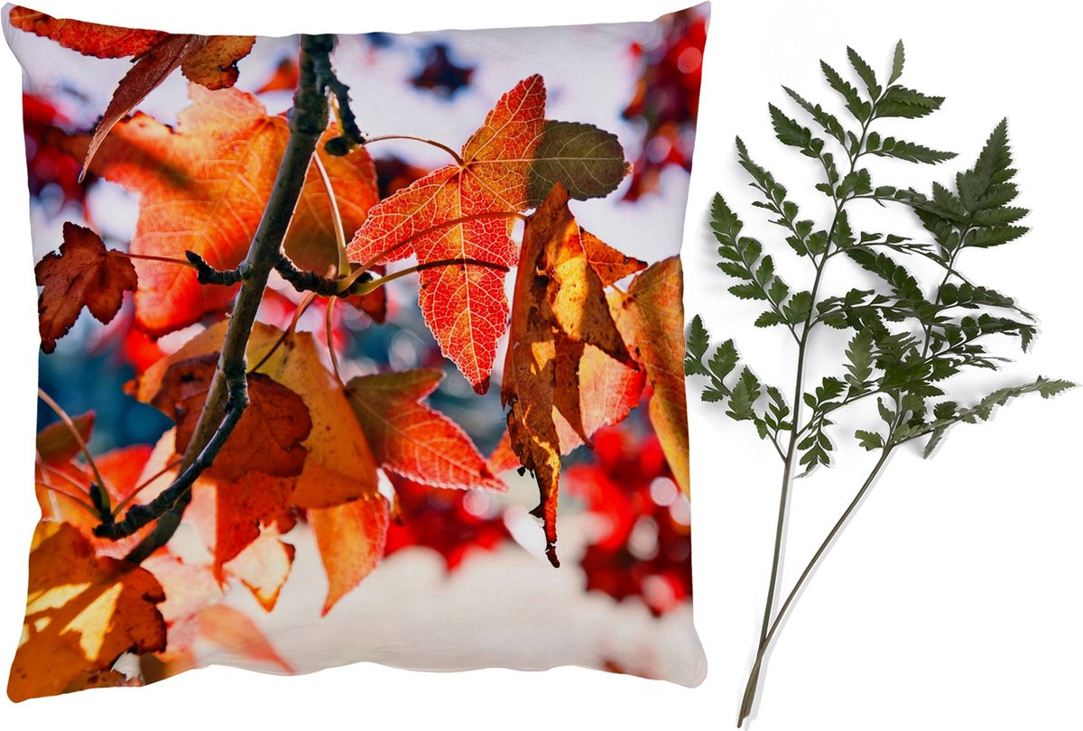 PillowMonkey Sierkussen Esdoorn Bladeren Landelijk Herfst 50 x 50 cm