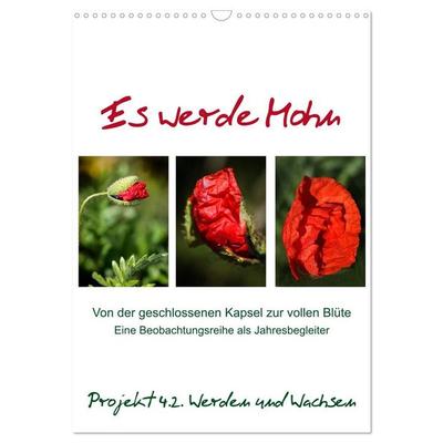 Es werde Mohn (Wandkalender 2027 DIN A3 hoch), CALVENDO Monatskalender