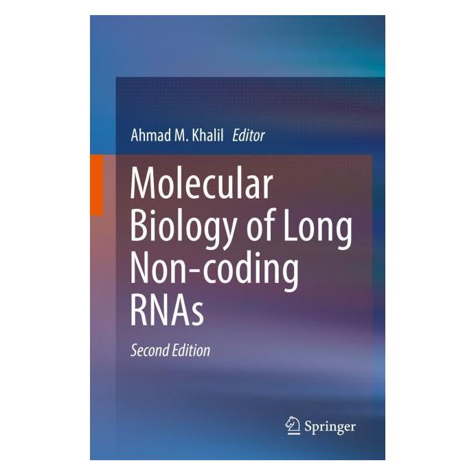 Springer Molecular Biology of Long Non-coding RNAs (Englisch, Hardcover, Ahmad M. Khalil) (9783030170851)