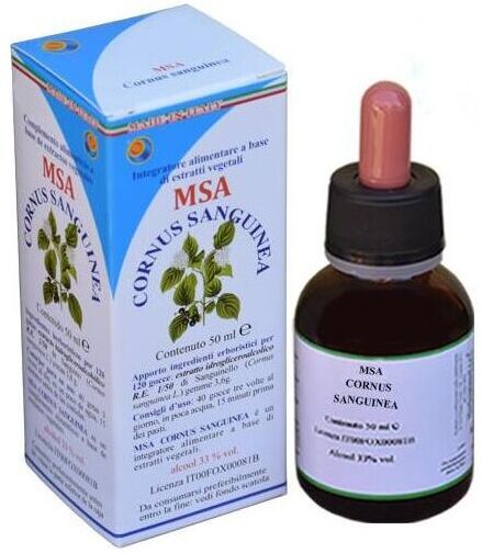 Herboplanet Msa Cornus Sanguinea Knospen 50 ml
