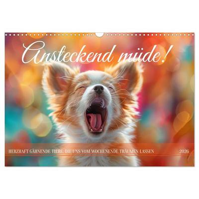Ansteckend müde! (Wandkalender 2026 DIN A3 quer), CALVENDO Monatskalender