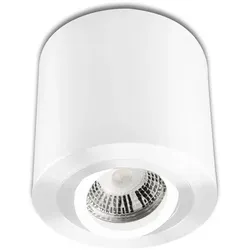 ISOLED Deckenaufbauleuchte für GU10/MR16, rund, IP20, schwenkbar, exkl. Fassung /Sockel, exkl. Leuchtmittel, Weiß ISO-113121