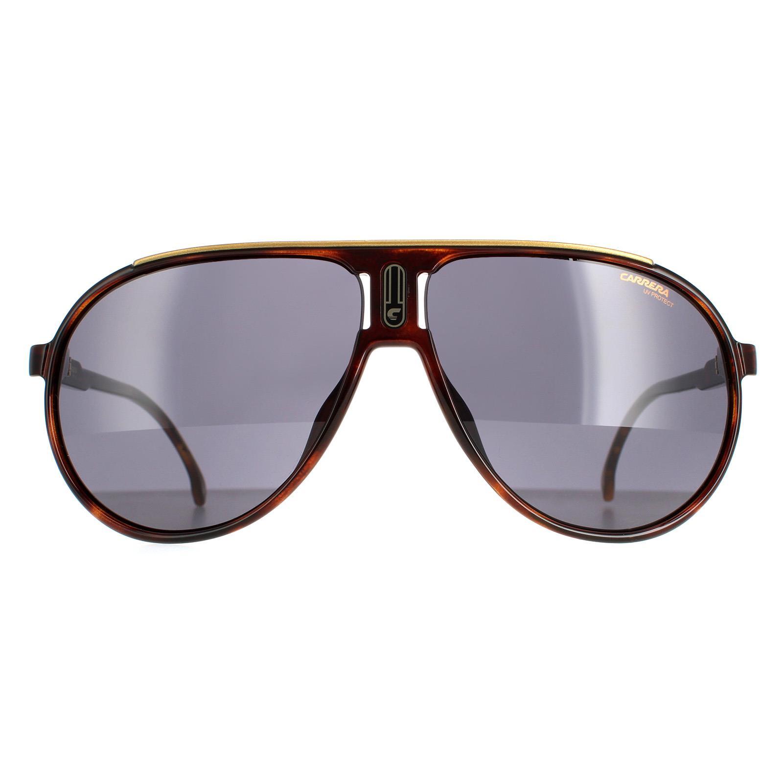 Carrera Aviator Mannen Havana Gray Champion65/N