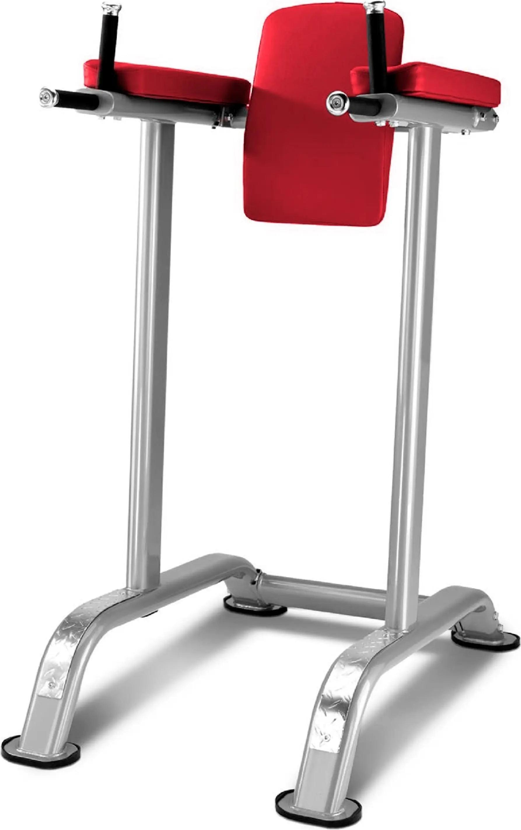 Profi Bauchmuskel-Trizeps-Turm multifunktional - rutschfeste Griffe, rückenentlastend mit ergonomischer Polsterung, verstärkte Struktur