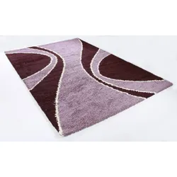 THEKO Teppich Power Shag 938 berry 50x80 cm