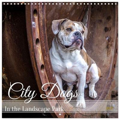 City dogs in the landscape park (Wall Calendar 2027 12 × 12 Inch) CALVENDO 12 Month Wall Calendar