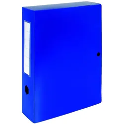 Exacompta, Mappe, Dokumentenbox (A4, 10x)