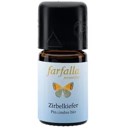 Zirbelkiefer bio Wildsammlung