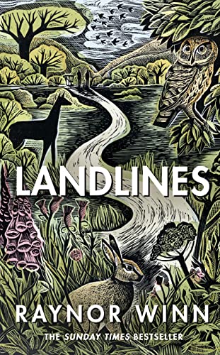 Raynor Winn - Landlines: The remarkable story of a thousand-mile journey across Britain from the million-copy bestselling author of The Salt Path - Preis vom 12.10.2026 11:37:12 h