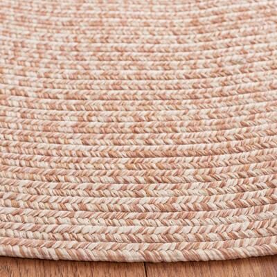 SAFAVIEH Handmade Braided Sakineh Casual Rug