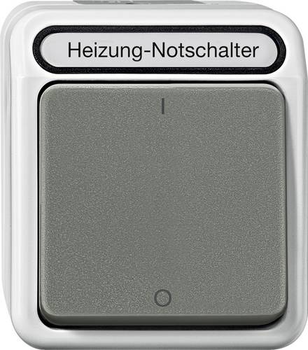 Merten Ausschalter AQUASTAR Lichtgrau MEG3643-8029 1St.