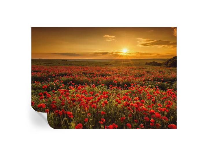 Wallfluent Fototapete 208x146 cm - Mohnfeld, Rot, 208x146 cm, Tapeten & Wandverkleidungen, Fototapeten