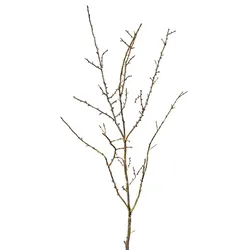 Deko-Zweig Lärchen Winter 86 cm Kunststoff Braun