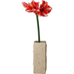 Botane Künstliche Blume Amaryllis 72 cm, dunkelrot