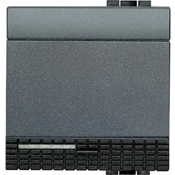 Legrand L4915/2 Wippe 2-Modul L49152