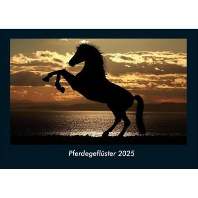 Pferdegeflüster 2025 Fotokalender DIN A4