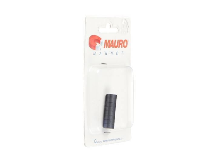 Scheibenmagnet ⌀ 10 mm 8 Stück