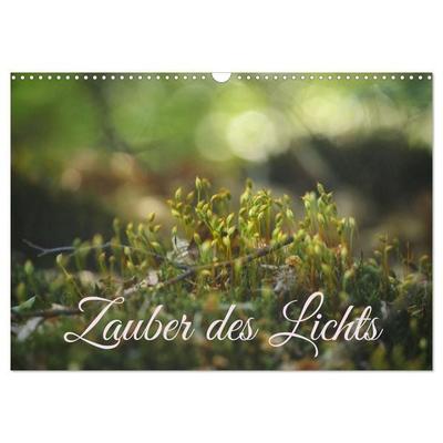 Zauber des Lichts (Wandkalender 2027 DIN A3 quer), CALVENDO Monatskalender