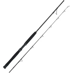 WFT Cool Sea Special Fjord 2pc. 2,10m 42lbs 50-420g Meeresrute