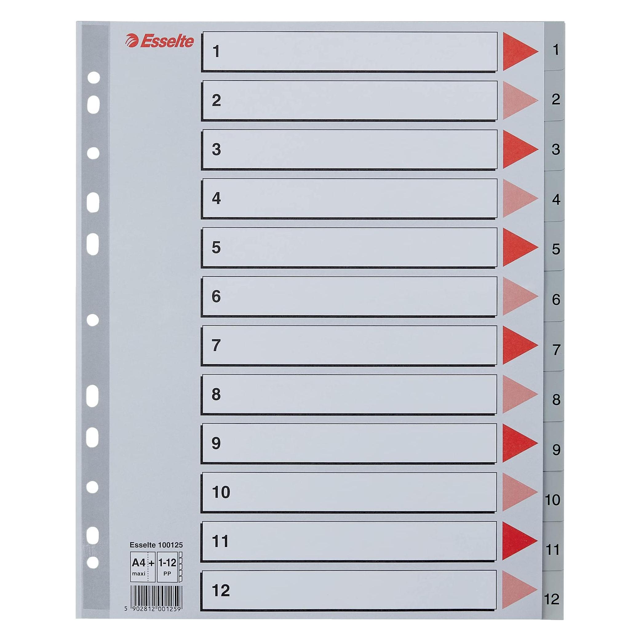 Esselte Register (100125)