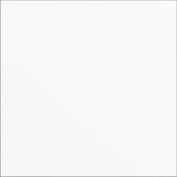 GIRA 5568902 Blindmodul Weiß