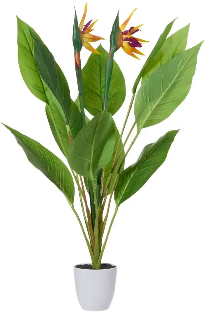 Höffner Strelitzia getopft   ¦ grün ¦ Kunststoff ¦ Maße (cm): H: 80