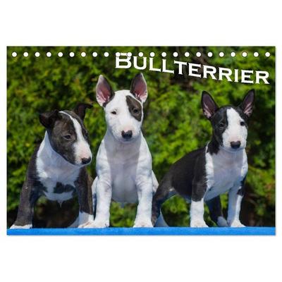 Bullterrier (Tischkalender 2026 DIN A5 quer), CALVENDO Monatskalender