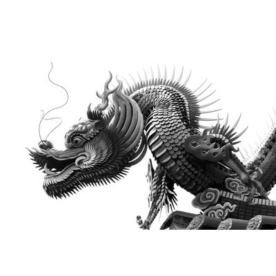 Fototapete PAPERMOON "Chinesischer Drache Schwarz & Weiß", schwarz (schwarz, weiß), B:2,5m L:1,86m, Vlies, Tapeten