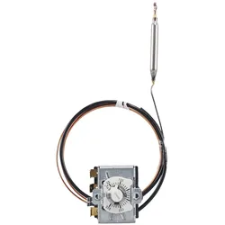 Jumo Temperaturwächter 60003225