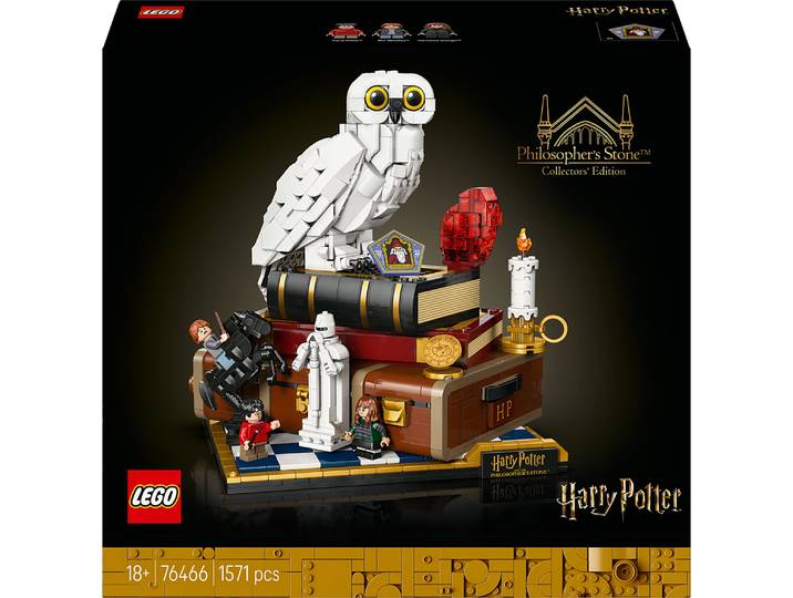 LEGO® Harry Potter™ - L’École des Sorciers - 76466