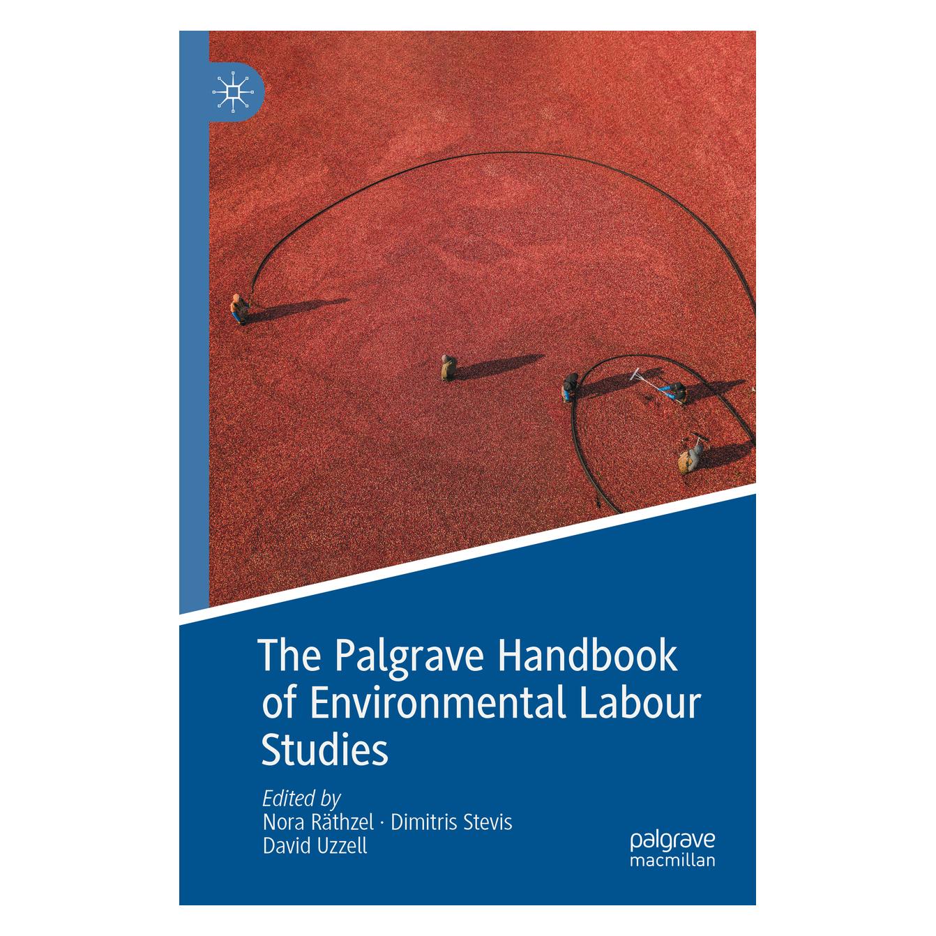Springer The Palgrave Handbook of Environmental Labour Studies (Englisch, Softcover, David Uzzell, Dimitris Stevis, Nora Räthzel) (56881530)