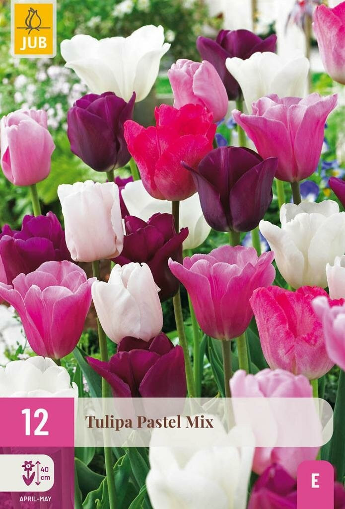 Jub Tulp bollen pastel mix 12 stuks