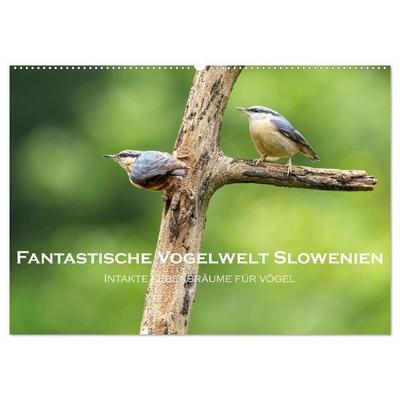 Fantastische Vogelwelt Slowenien (Wandkalender 2027 DIN A2 quer), CALVENDO Monatskalender
