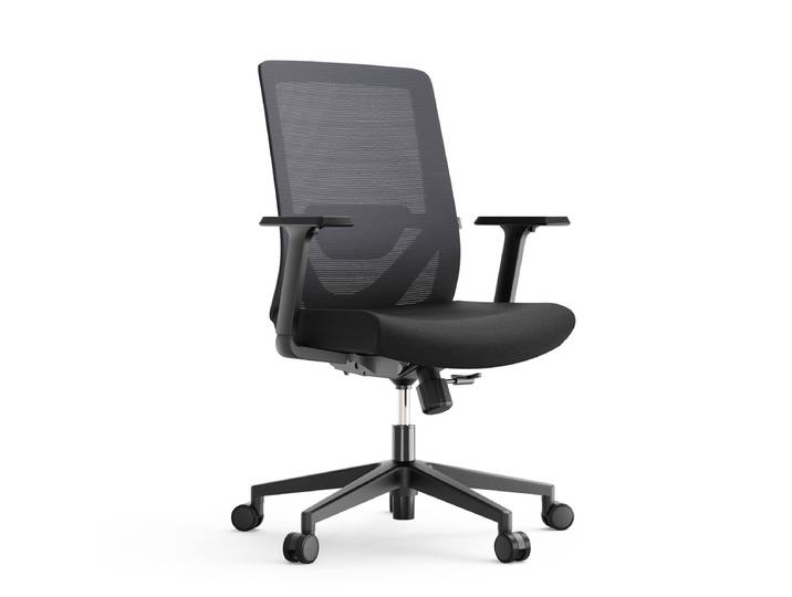 Ergonomic Office Chair - Yaasa Chair Lite, Black