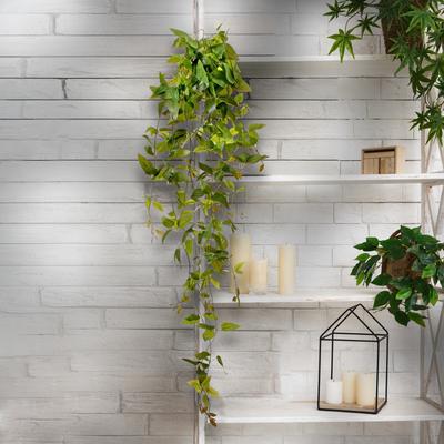 Regency International "Natural Touch Hanging Tradesacantia Plant 41"""