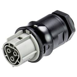 Wieland Electric 96.031.6054.3 Geräteanschluss