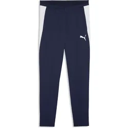 Puma, Herren, Sporthose, TeamFinal26 (M), Blau