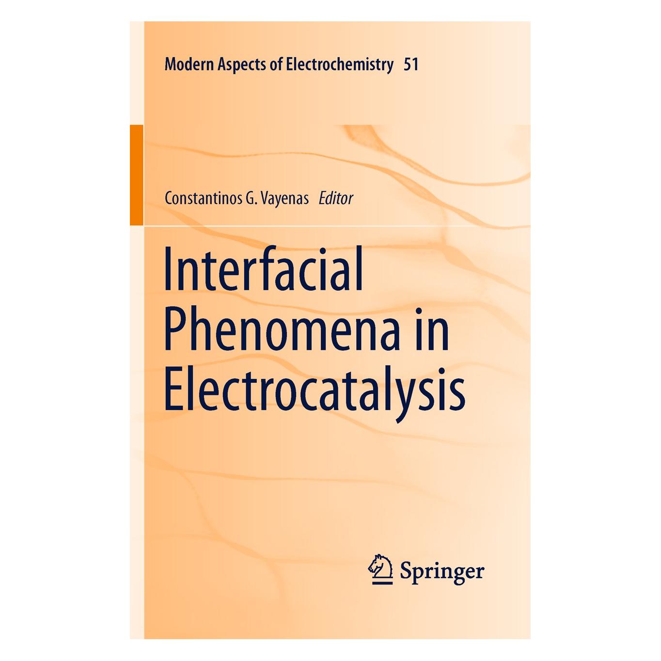 Springer Interfacial Phenomena in Electrocatalysis (Englisch, Hardcover, Constantinos G. Vayenas) (9781441955791)
