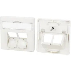 BTR 860023-I Zentralplatte 50 x 50 mm 2 Port perlweiß, E-DAT C6 860023I  - 10 Stück