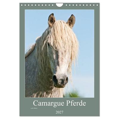 Camargue Pferde - weiße Mähnen (Wandkalender 2027 DIN A4 hoch), CALVENDO Monatskalender