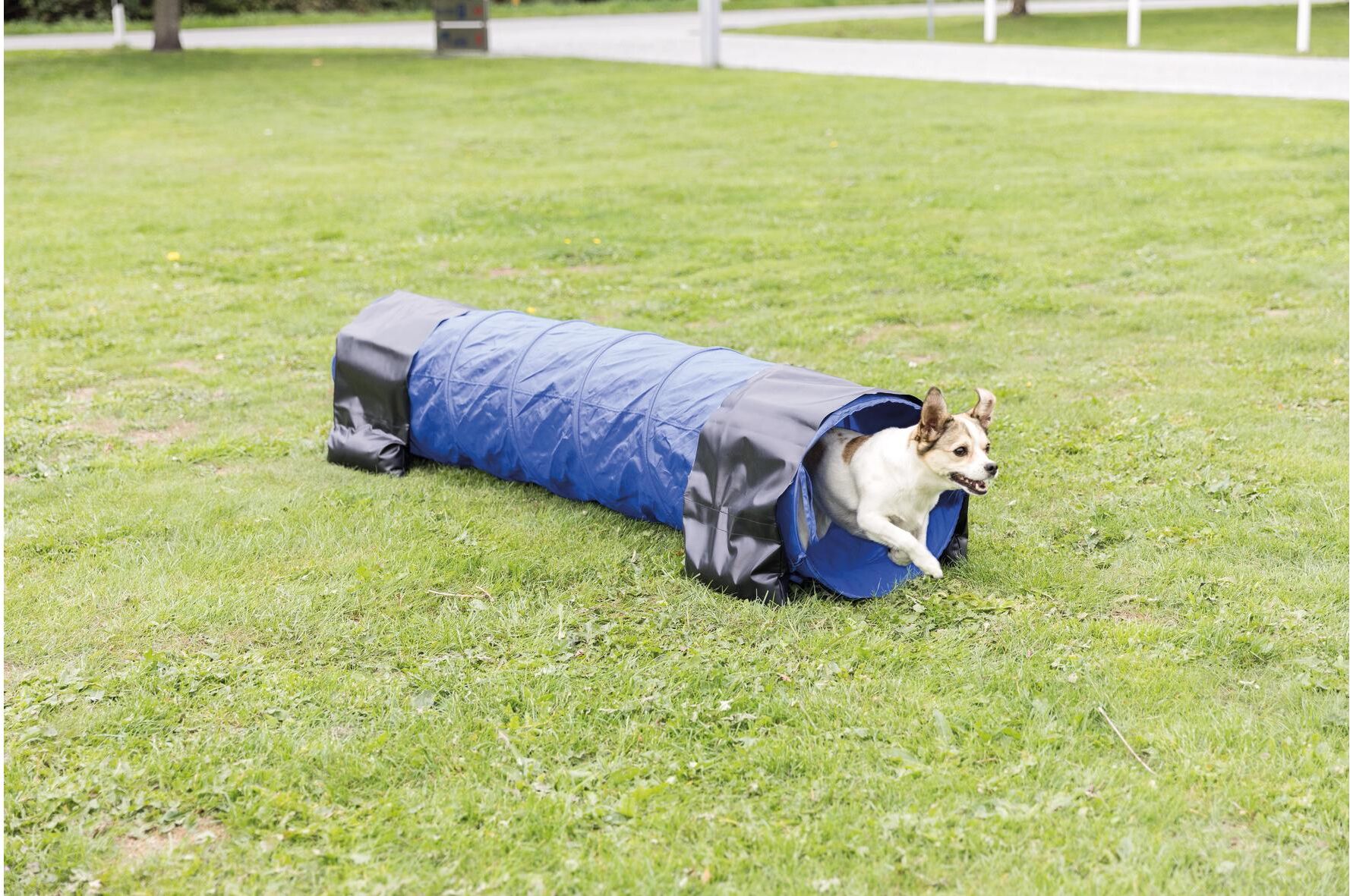 Agility-Tunnel TRIXIE "Agility Tunnel Dog Activity", blau, L:200cm Ø:40cm, Polyester, Tierspielzeuge, Agility-Tunnel blau Einheitsgröße