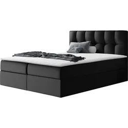 BOXBETT Rico - H3