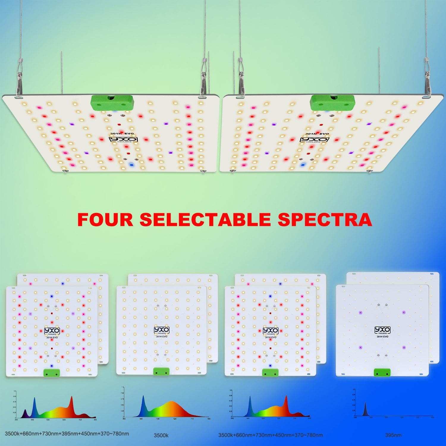 Selius LED Kweeklamp voor Binnenplanten en Tuinbouw