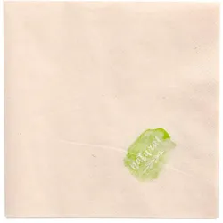 Papstar, Servietten, ungebleicht (250 Stk., 33 x 33 cm)