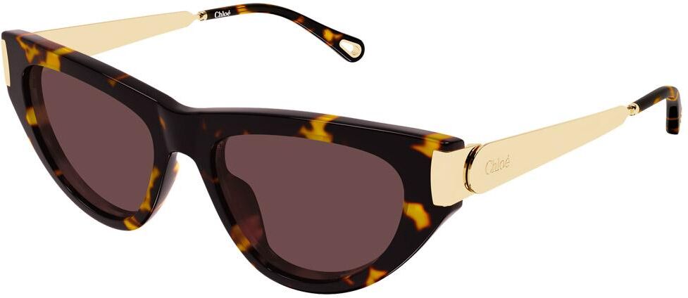 Chloé  - CH0350S Holly 003 Havana - Lunettes de soleil